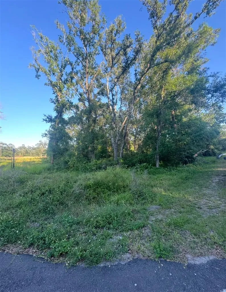 14805 Berkford Avenue Tampa FL 33625