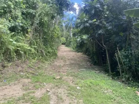 Bo. Turabo Caguas PR 00725