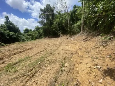 Bo. Turabo Caguas PR 00725