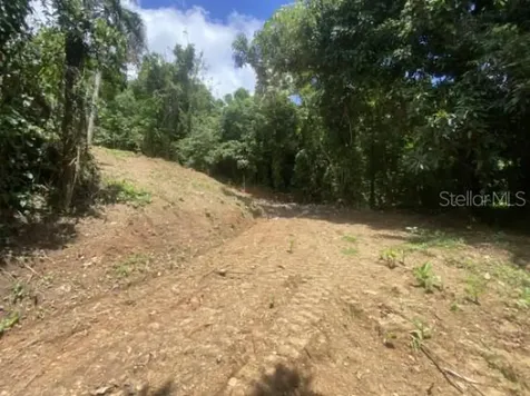 Bo. Turabo Caguas PR 00725