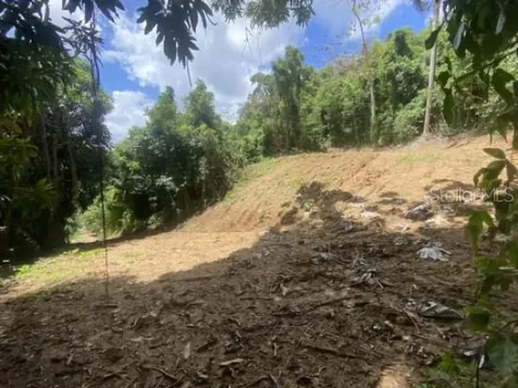 Bo. Turabo Caguas PR 00725