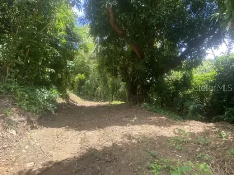 Bo. Turabo Caguas PR 00725