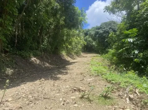 Bo. Turabo Caguas PR 00725