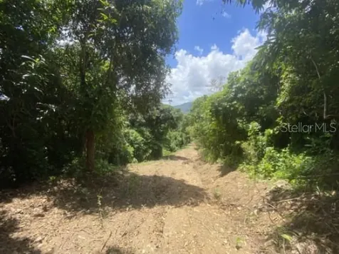 Bo. Turabo Caguas PR 00725