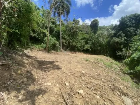 Bo. Turabo Caguas PR 00725