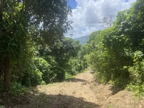 Bo. Turabo Caguas PR 00725