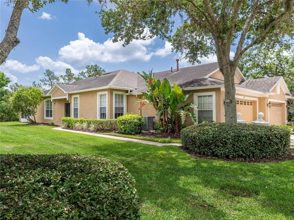 19137 Lake Audubon Drive Tampa FL 33647