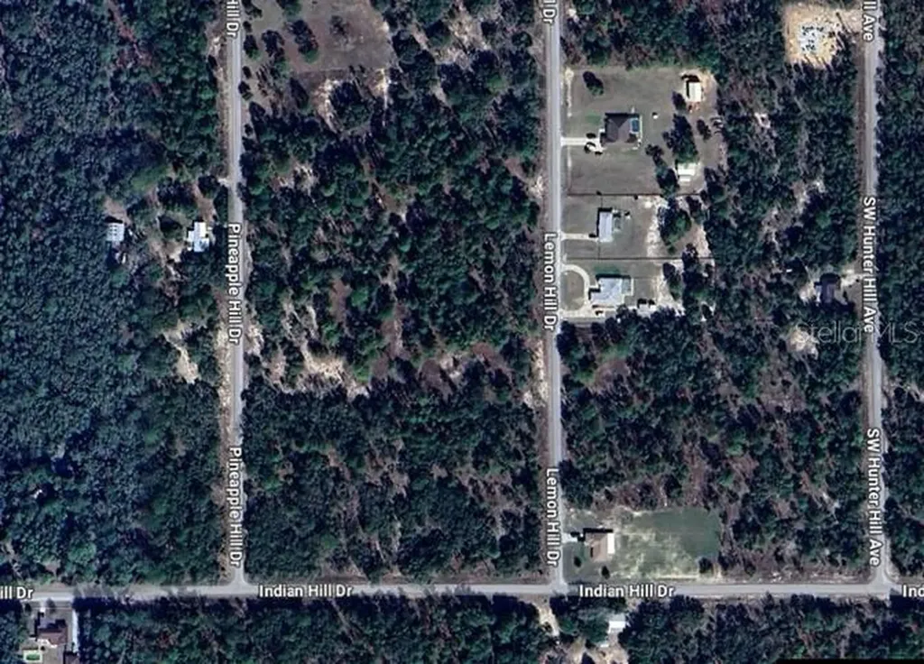 SW Lemon Hill Drive Dunnellon FL 34431