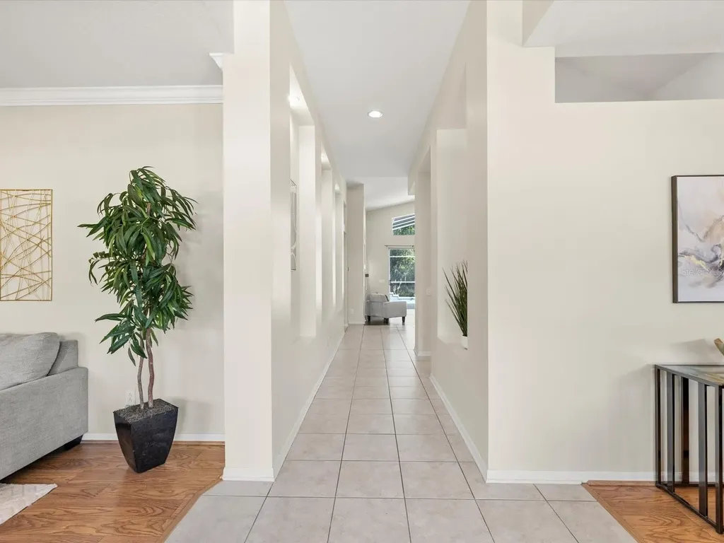 7935 Calindra Court Trinity FL 34655