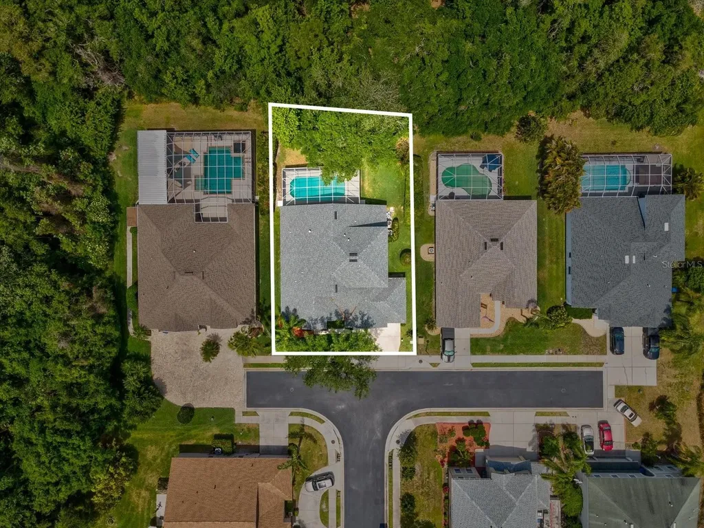 7935 Calindra Court Trinity FL 34655