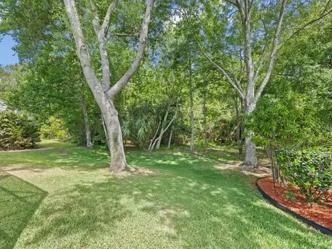 7935 Calindra Court Trinity FL 34655