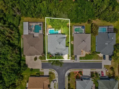 7935 Calindra Court Trinity FL 34655