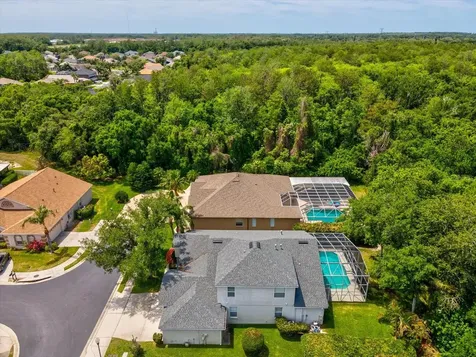 7935 Calindra Court Trinity FL 34655