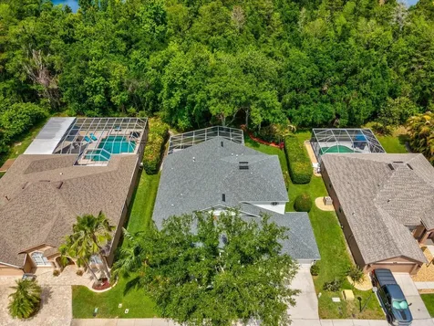7935 Calindra Court Trinity FL 34655