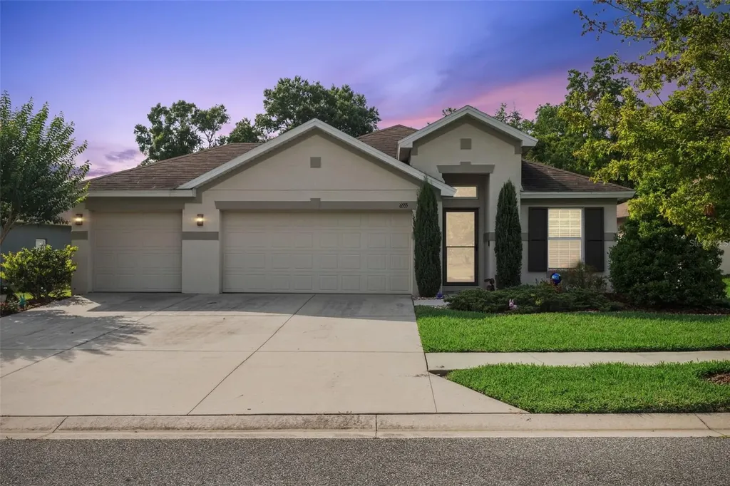 6555 Sparkling Way Wesley Chapel FL 33545