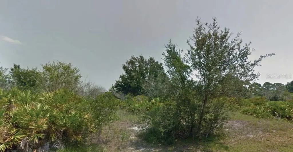 113 Edenwald Avenue NW Lake Placid FL 33852