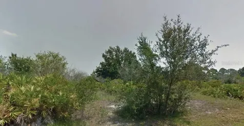 113 Edenwald Avenue NW Lake Placid FL 33852