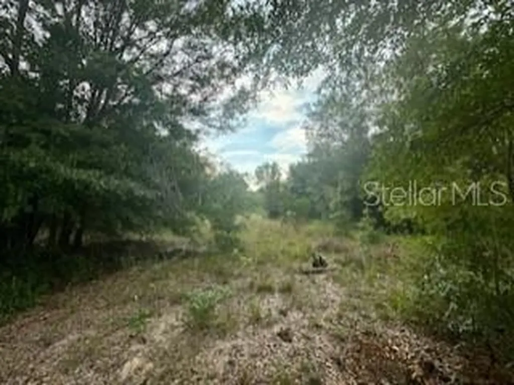 NW 56th Court Ocala FL 34482