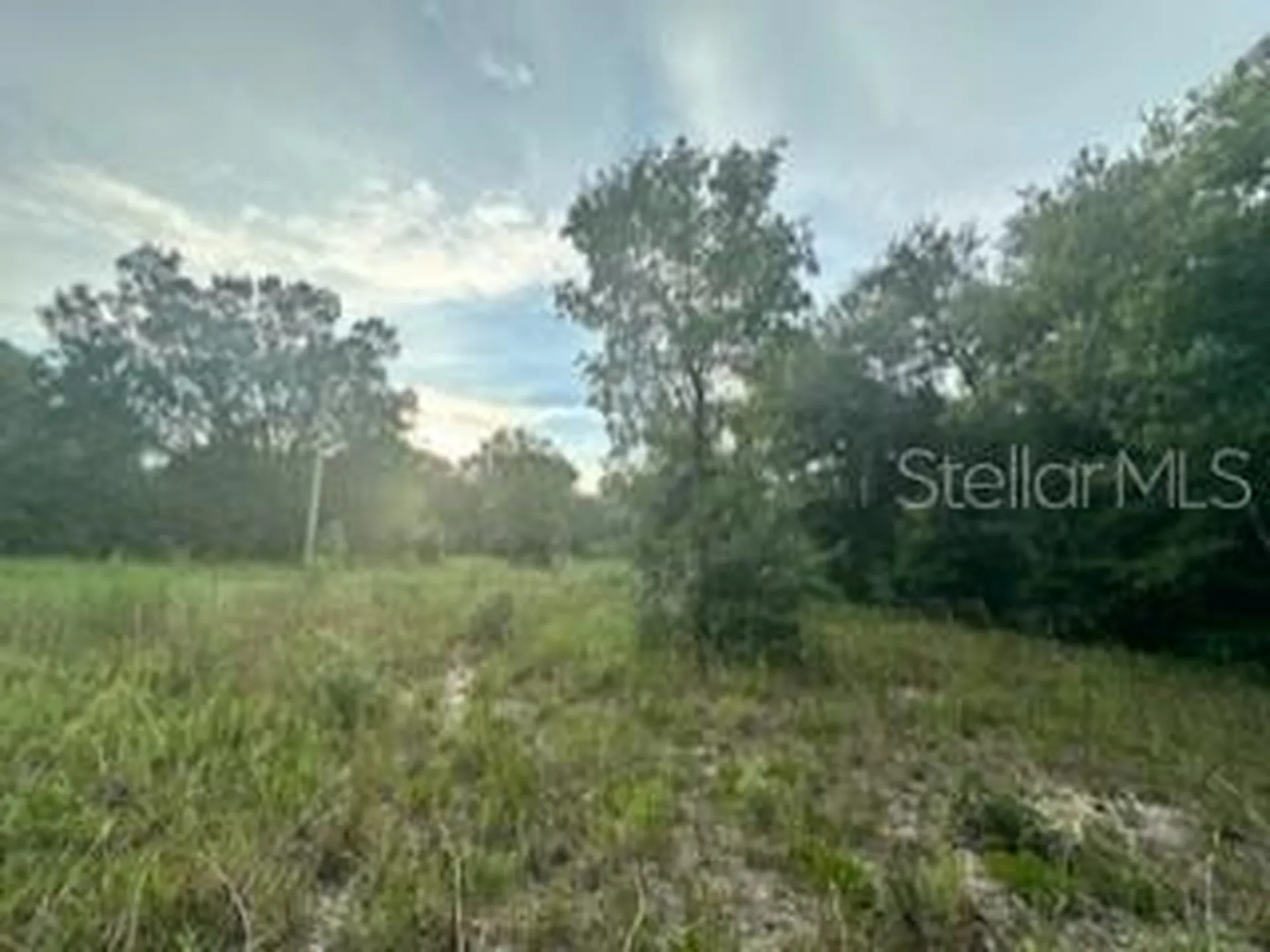 NW 56th Court Ocala FL 34482