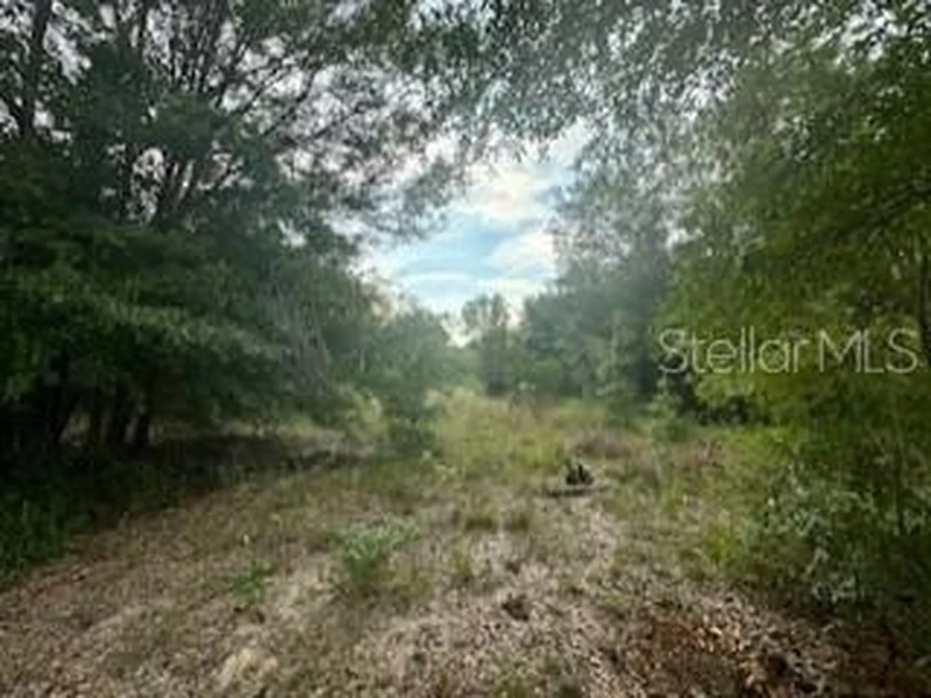NW 56th Court Ocala FL 34482