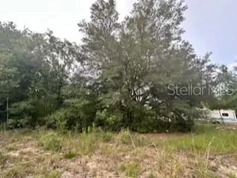 NW 56th Court Ocala FL 34482