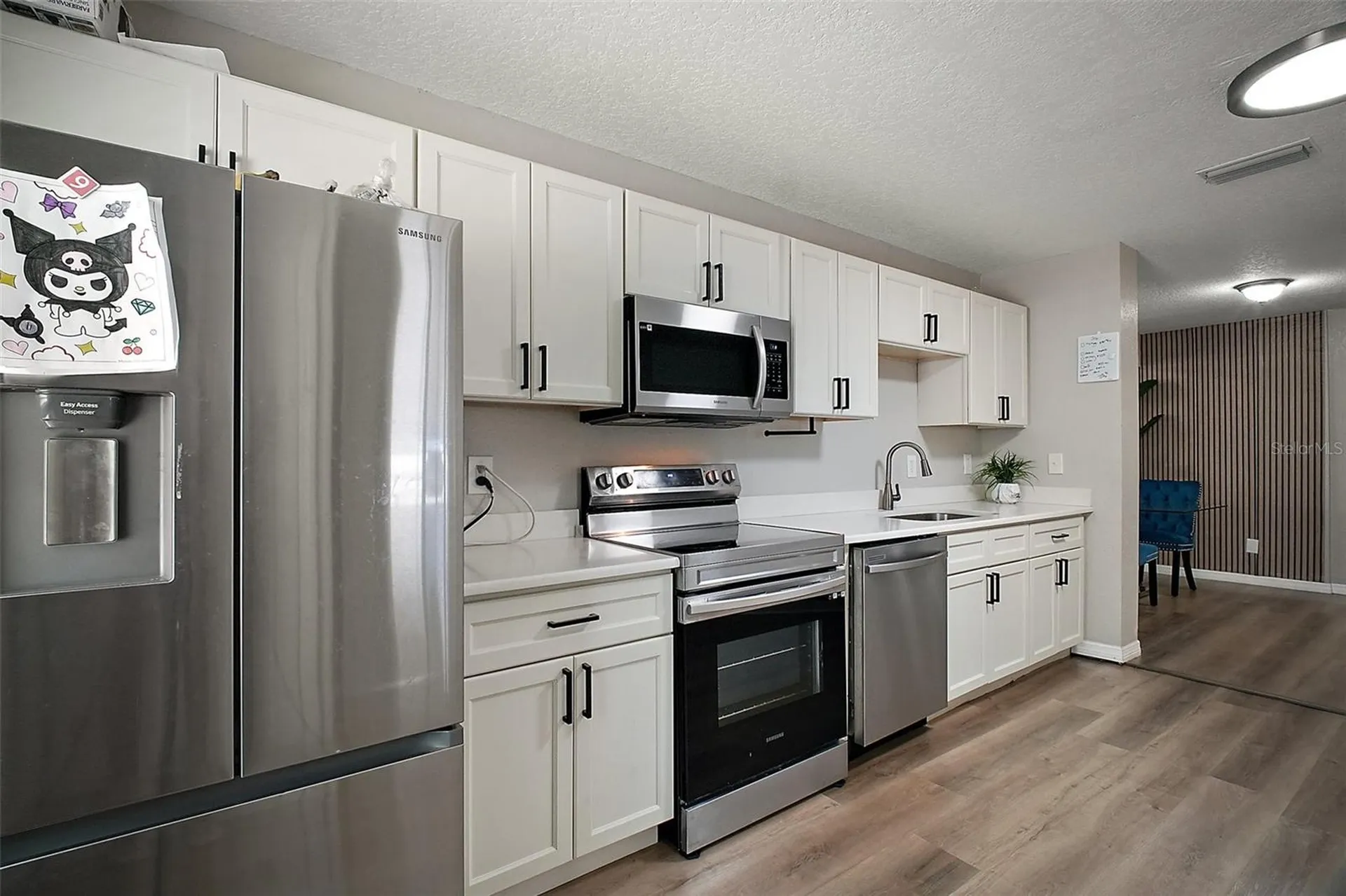 1805 Jefferson Drive Mount Dora FL 32757