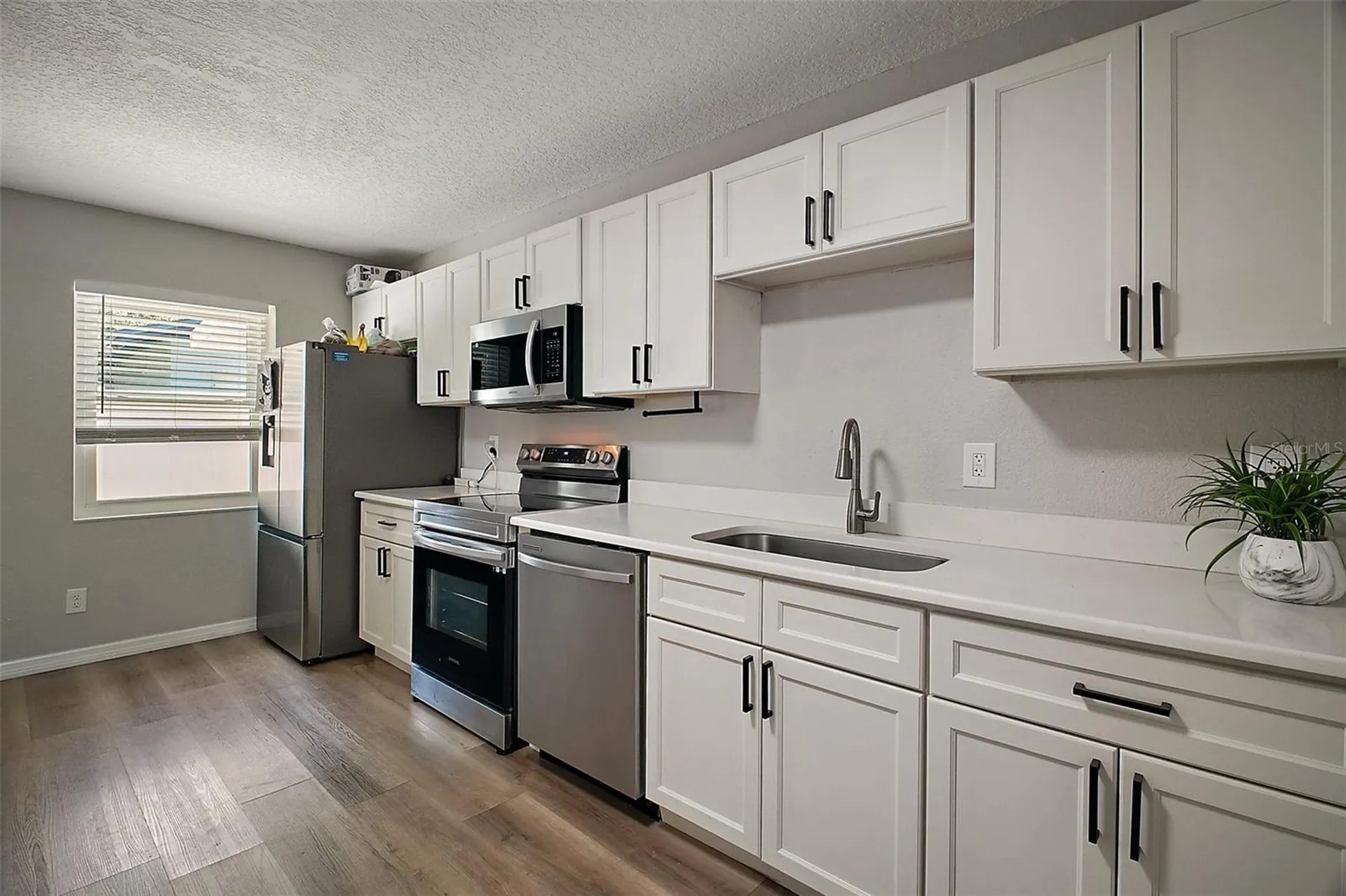1805 Jefferson Drive Mount Dora FL 32757