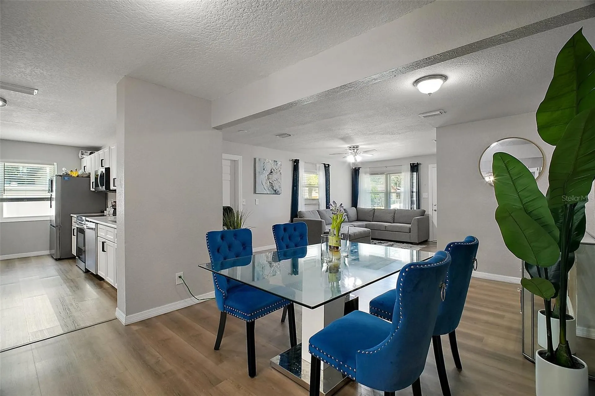 1805 Jefferson Drive Mount Dora FL 32757