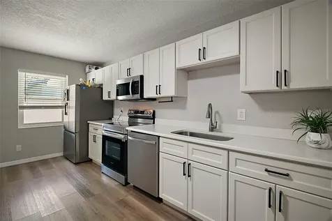 1805 Jefferson Drive Mount Dora FL 32757
