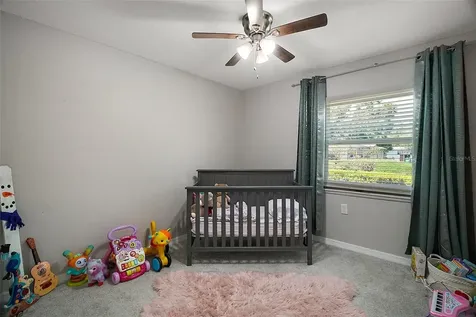 1805 Jefferson Drive Mount Dora FL 32757