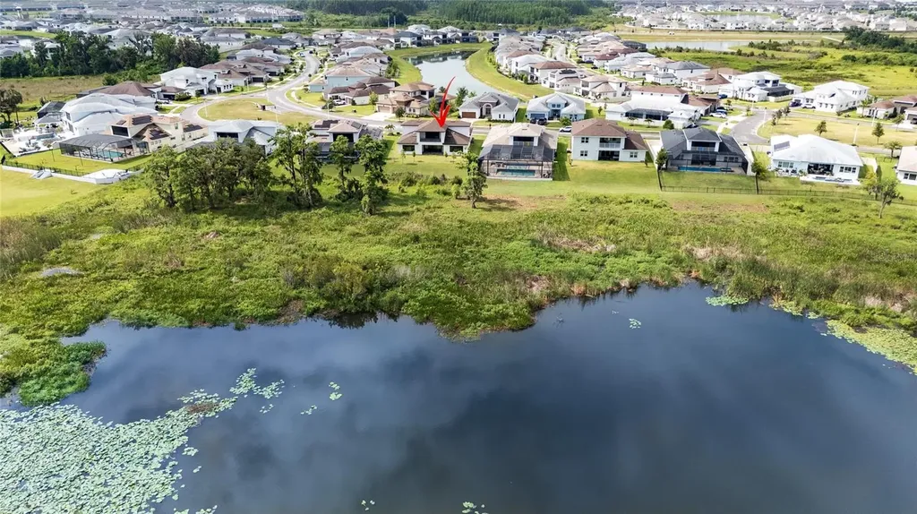 8834 Sanders Tree Loop Wesley Chapel FL 33545