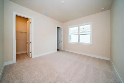 8834 Sanders Tree Loop Wesley Chapel FL 33545