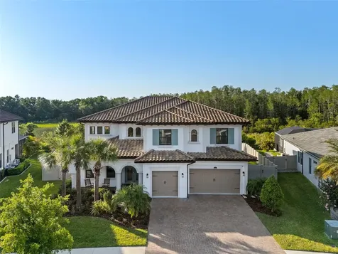 28512 Picana Lane Wesley Chapel FL 33543