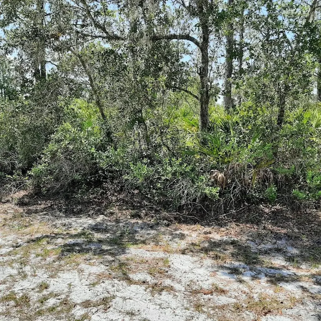 211 Camellia Drive Indian Lake Estates FL 33855