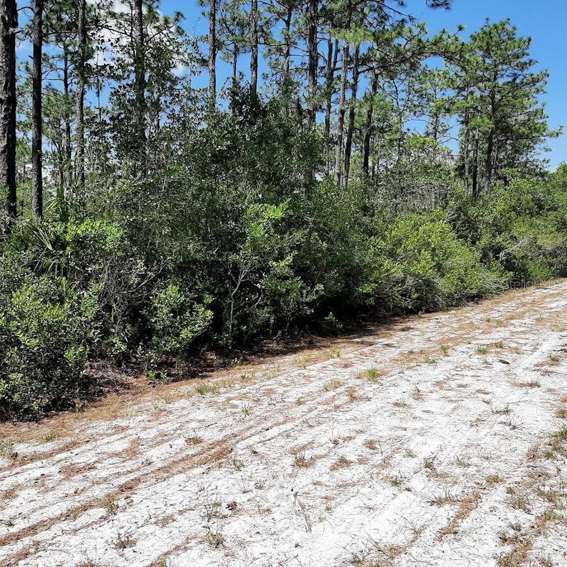 211 Camellia Drive Indian Lake Estates FL 33855