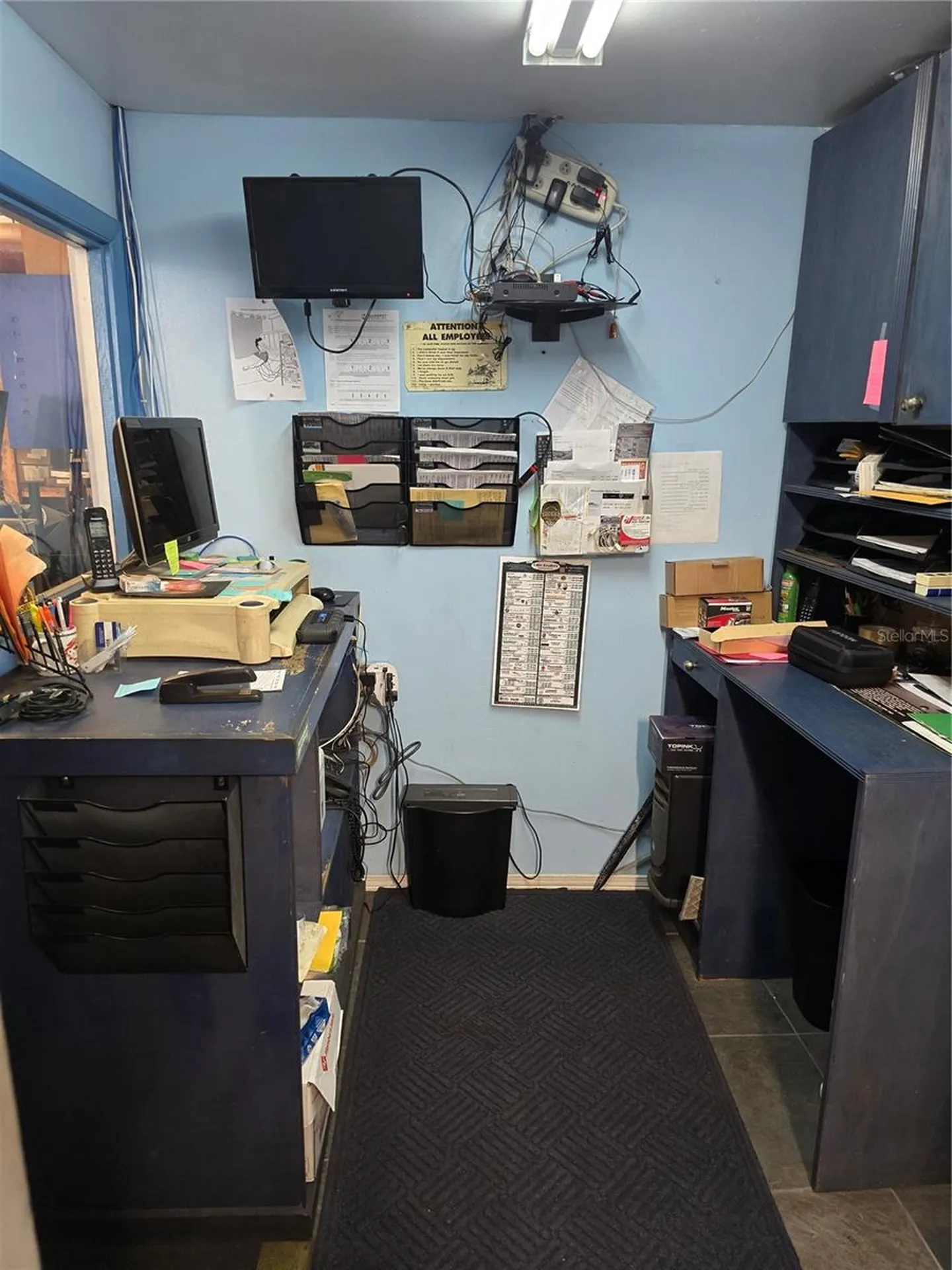 1310 1st Mount Dora FL 32757