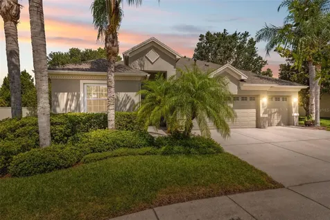 3243 Stonegate Falls Drive Land O Lakes FL 34638