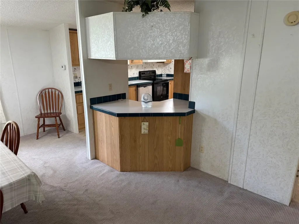 26 Canal Way Lake Panasoffkee FL 33538