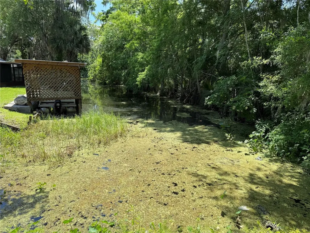 26 Canal Way Lake Panasoffkee FL 33538