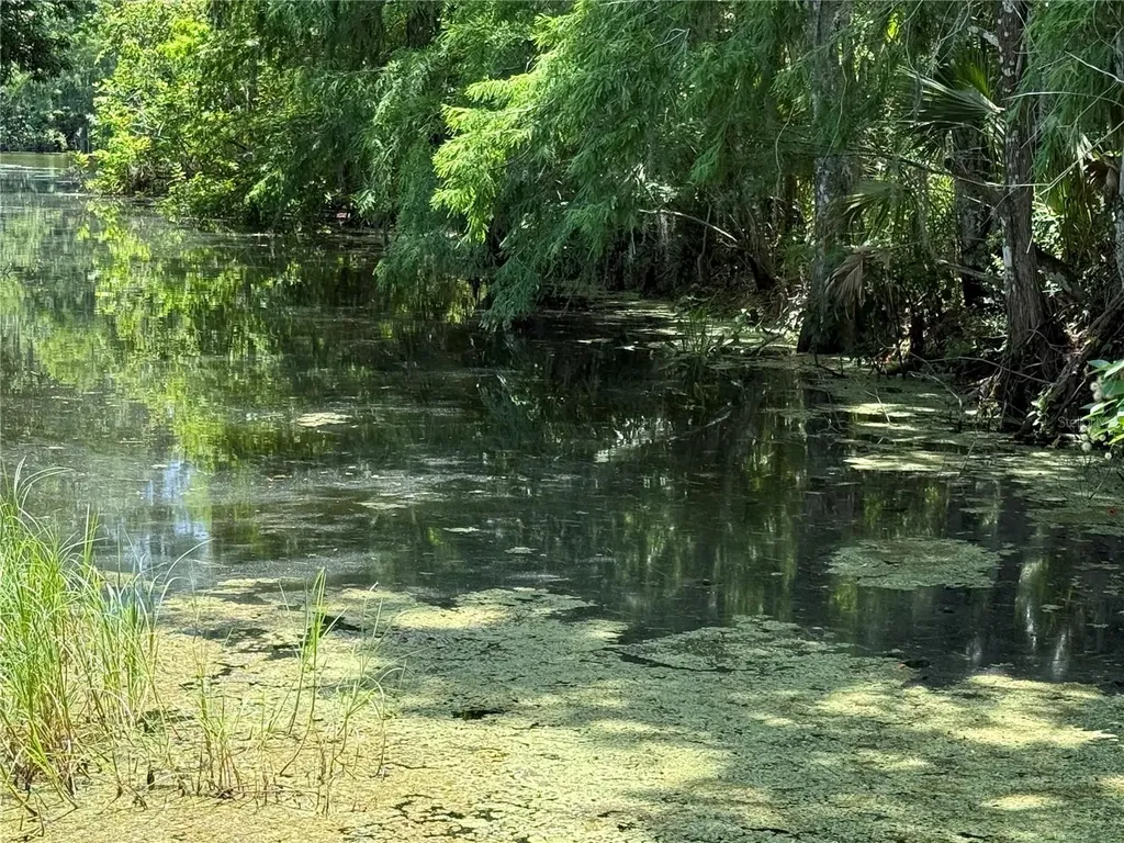 26 Canal Way Lake Panasoffkee FL 33538