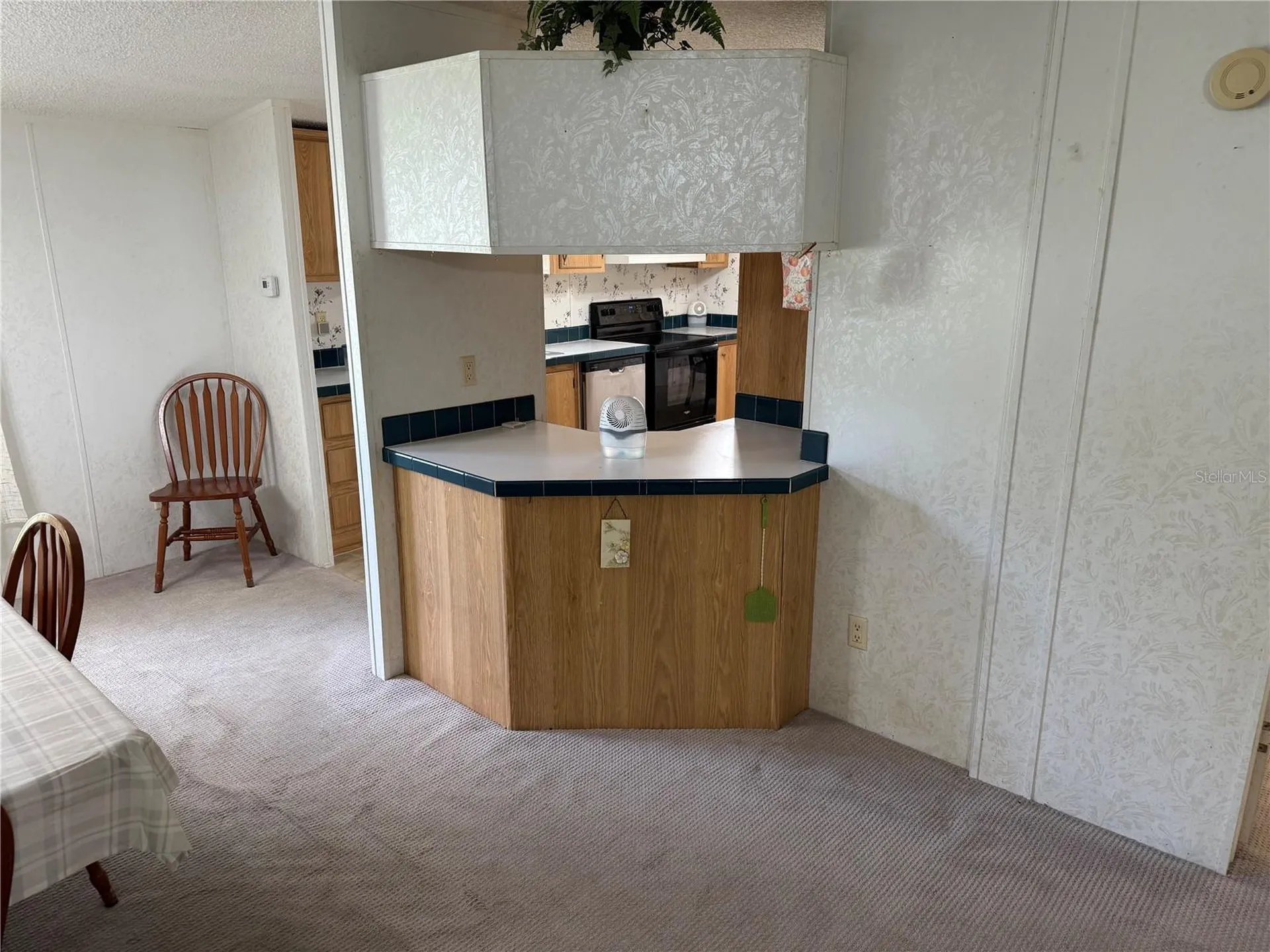 26 Canal Way Lake Panasoffkee FL 33538