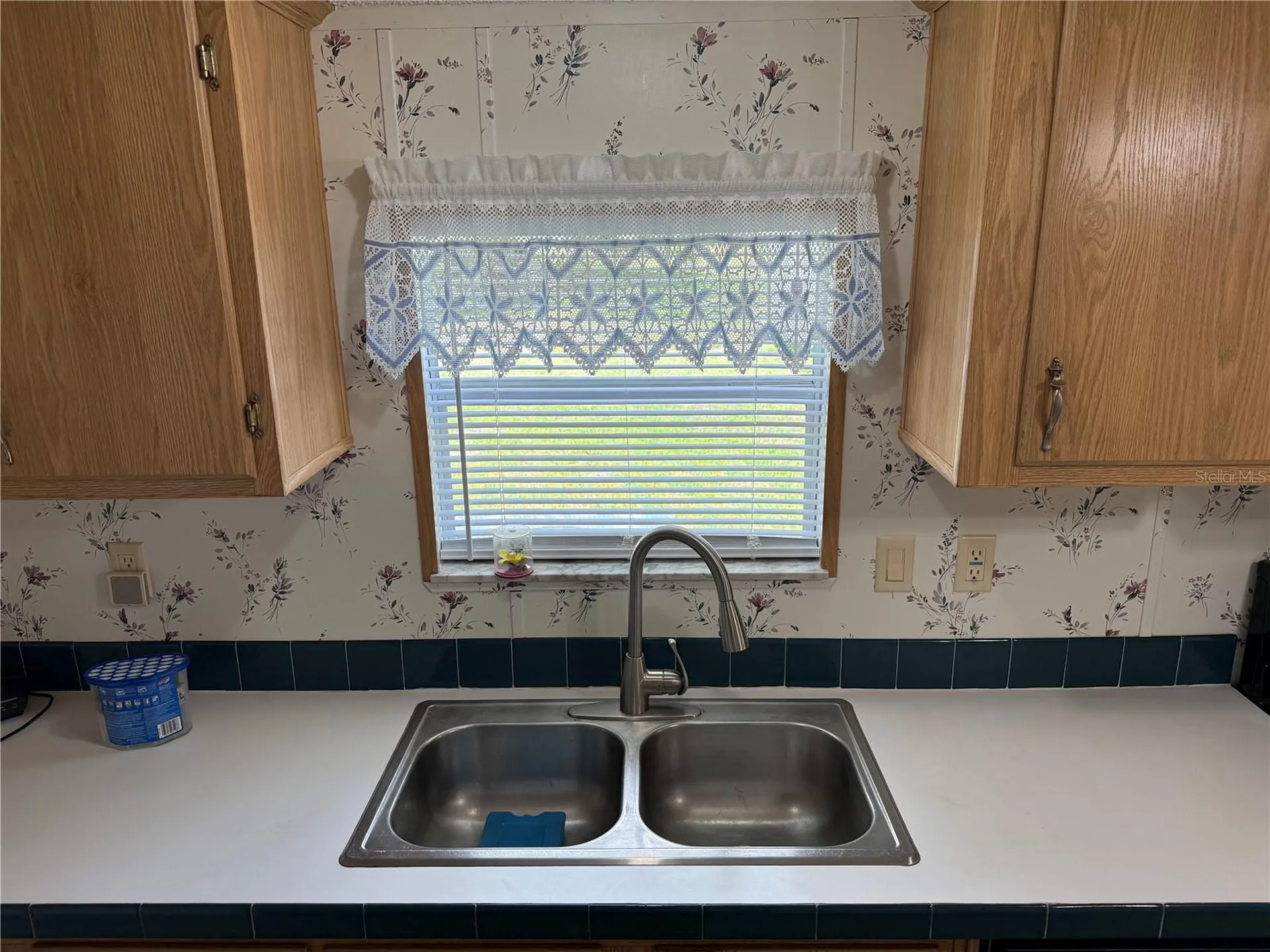 26 Canal Way Lake Panasoffkee FL 33538