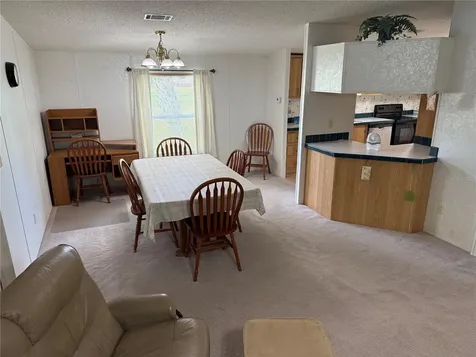 26 Canal Way Lake Panasoffkee FL 33538