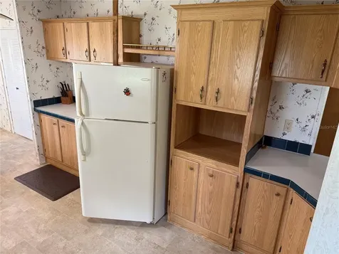 26 Canal Way Lake Panasoffkee FL 33538