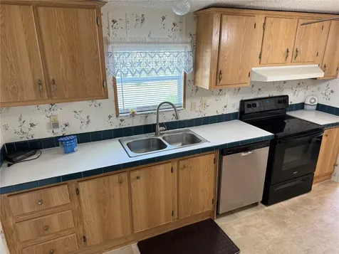 26 Canal Way Lake Panasoffkee FL 33538