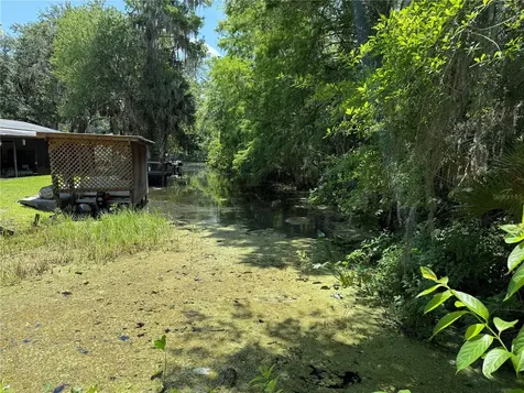 26 Canal Way Lake Panasoffkee FL 33538