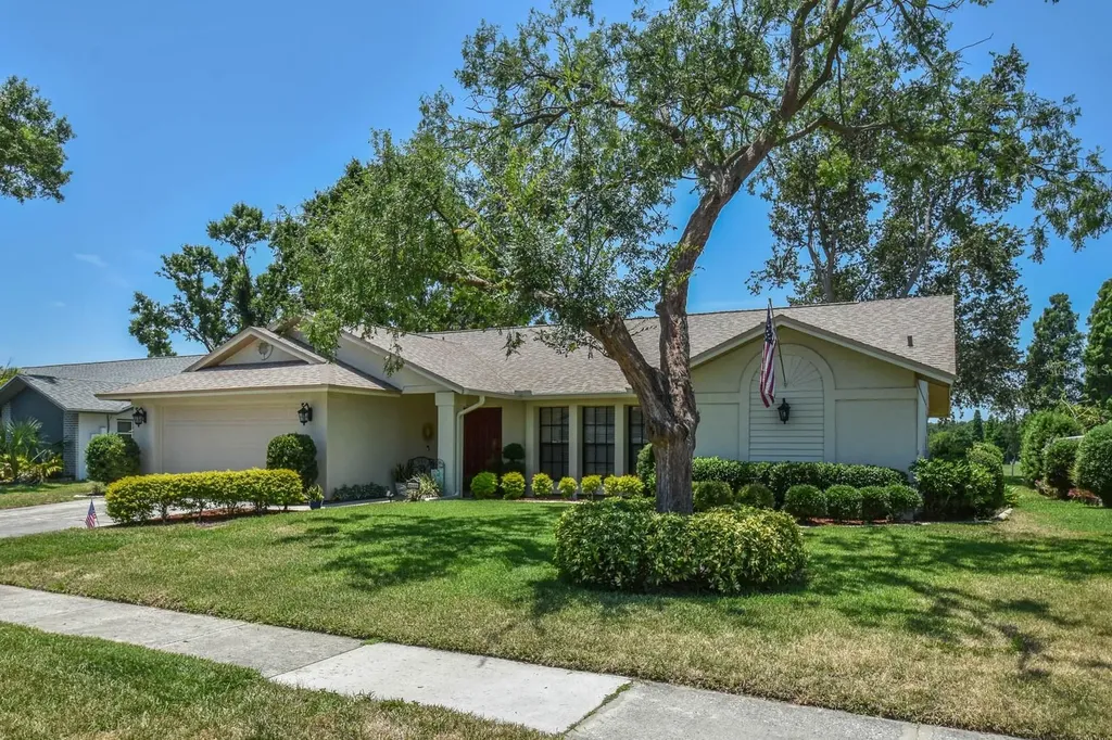 2517 Bucknell Drive Valrico FL 33596