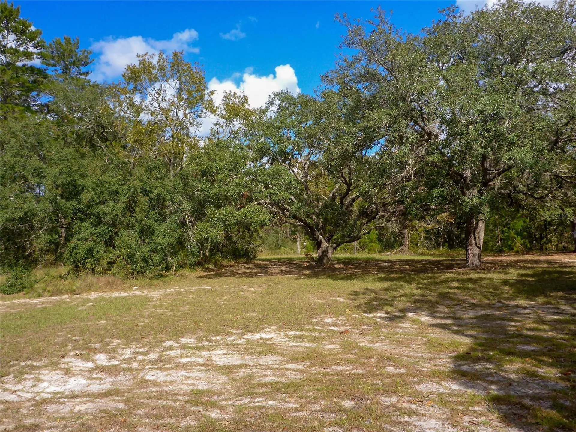 12271 Centralia Road Weeki Wachee FL 34614