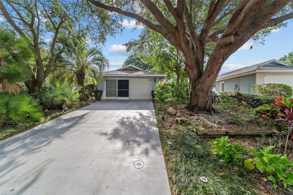 9001 SW 91st Circle Ocala FL 34481