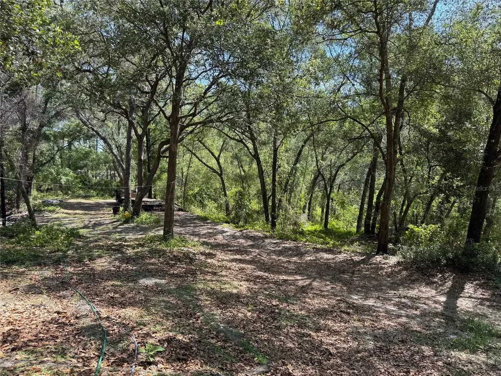 16137 SE 34th Place Ocklawaha FL 32179